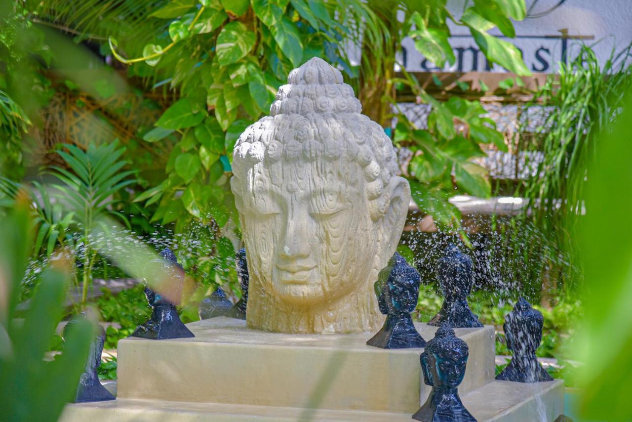 Hotel Villas Tiburon Isla Holbox Екстериор снимка